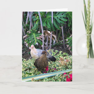 Carte Dames tropicales