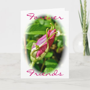 Carte d'amis Rosebud Forever