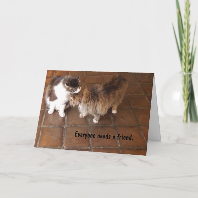 Carte d'amitié, chats d'établissement vinicole de (Devant)