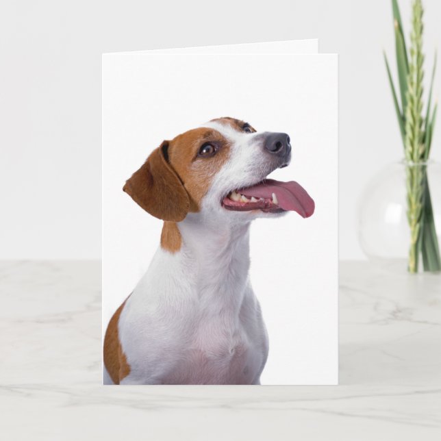 Carte d'amitié Jack Russell Terrier (Devant)