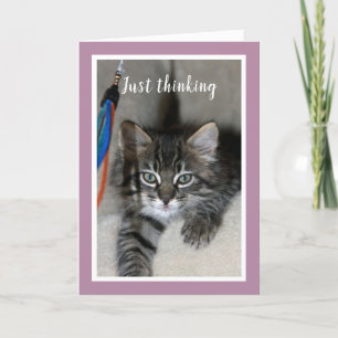 Carte d'amitié joueuse Kitten
