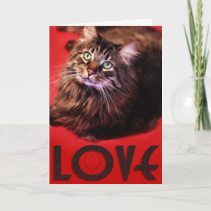 Carte d'AMOUR