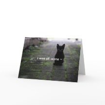 CARTE D'AMOUR CHATON NOIR