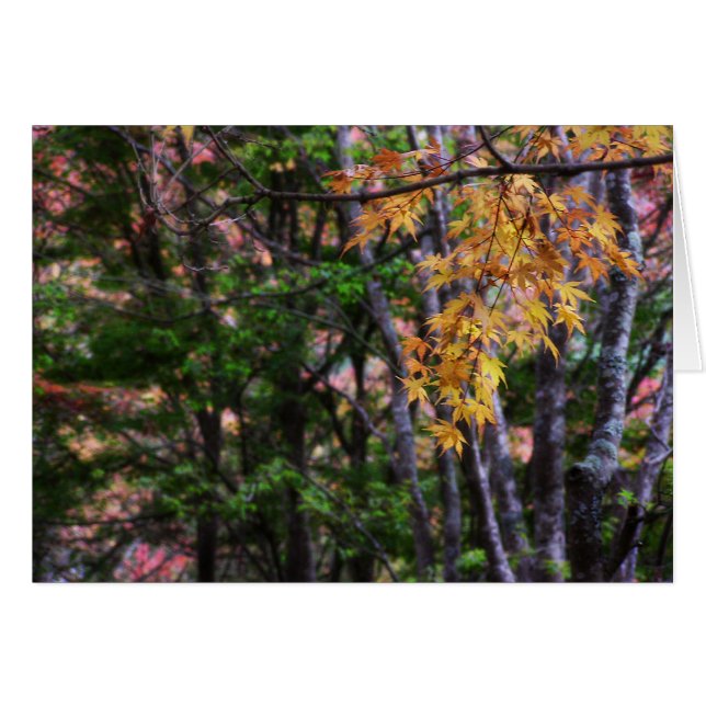 Carte d'amour d'automne (Devant horizontal)