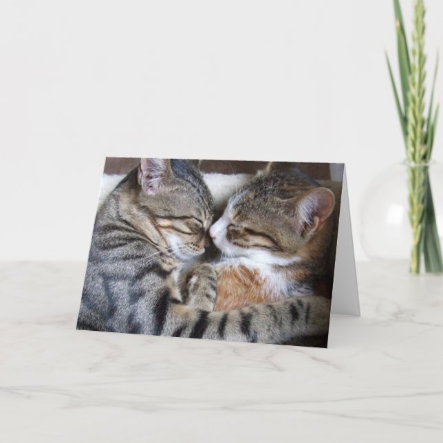 Carte d'amour de chat (Devant)