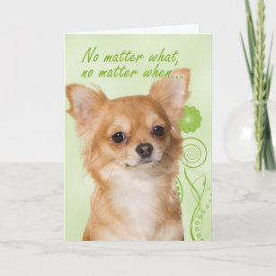 Carte d'amour/de support/de bien-être Chihuahua