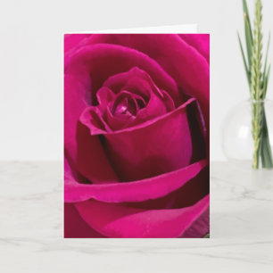 Carte d'amour et de rose de la Saint-Valentin