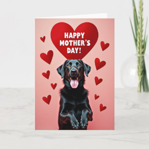 Carte d'amour pour chien noir brillant