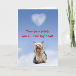Carte d'amour pour chiot Yorkshire Terrier