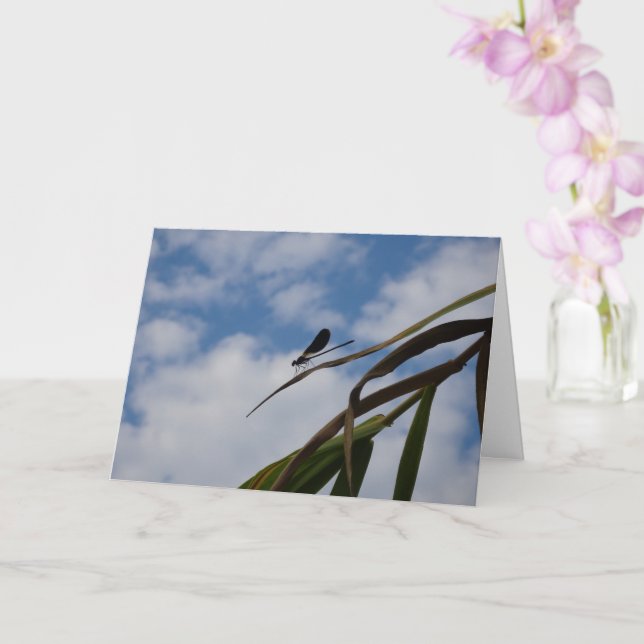 Carte Damselfly dans le ciel bleu (Orchidée)