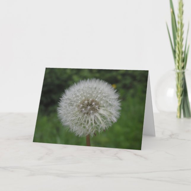 Carte dandelion (Devant)