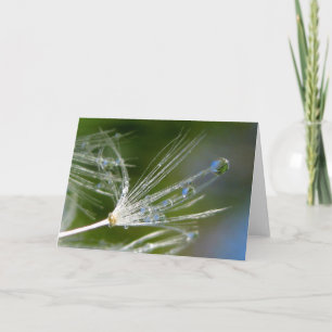 Carte Dandelion avec poésie Dew