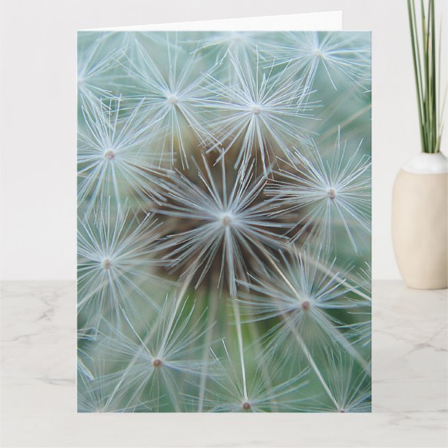 Carte Dandelion blanc (Devant)