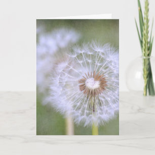 Carte Dandelion Flowers