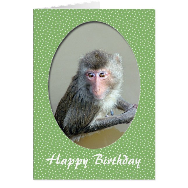 carte d'animal du zoo d'anniversaire heureux (Devant)