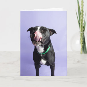 Carte d'anniversaire