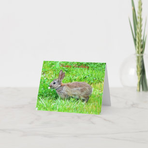 Carte d'anniversaire