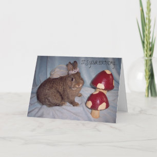 CARTE D'ANNIVERSAIRE