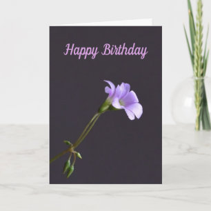 Carte d'anniversaire