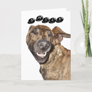 Carte d'anniversaire