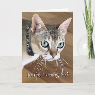Carte d'anniversaire 60 ans Curious Cat
