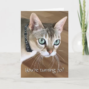 Carte d'anniversaire 70 ans Chat Curieux