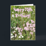 Carte d'anniversaire 75e<br><div class="desc">Photographe de some pretty wild flowers taken late afternoon. Le jour de l'anniversaire de Noël A Wonderful !</div>