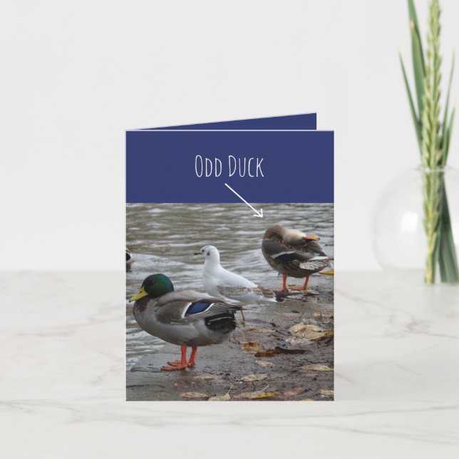 Carte d'anniversaire à Odd Duck (Devant)