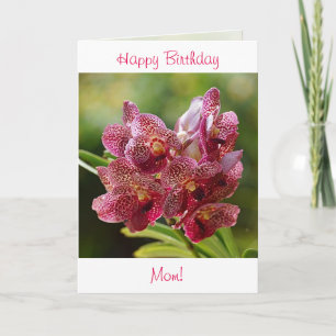 Carte d'anniversaire à orchidée Vanda tropicale