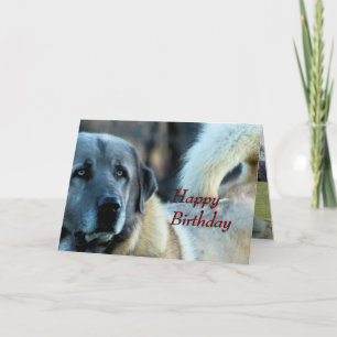 Carte d'anniversaire Achai - personnaliser toute o