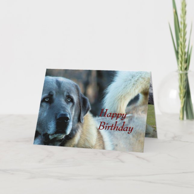 Carte d'anniversaire Achai - personnaliser toute o (Devant)