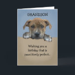 Carte d'anniversaire adorable Grandson<br><div class="desc">Carte d'anniversaire petit-fils adorable qui est personnalisable avec votre message personnalisé.</div>