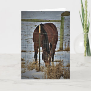 Carte d'anniversaire "Agape Acres"