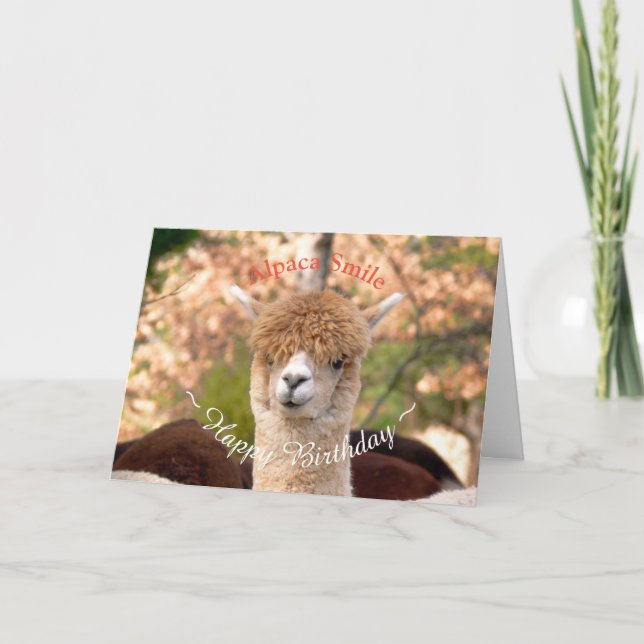 Carte d'anniversaire Alpaca Belle (Devant)