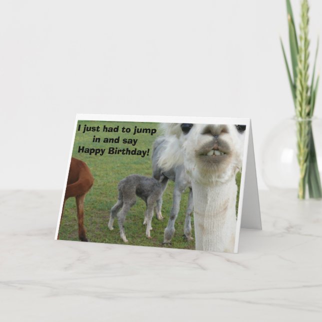 Carte d'anniversaire Alpaca - Nature interrompue (Devant)