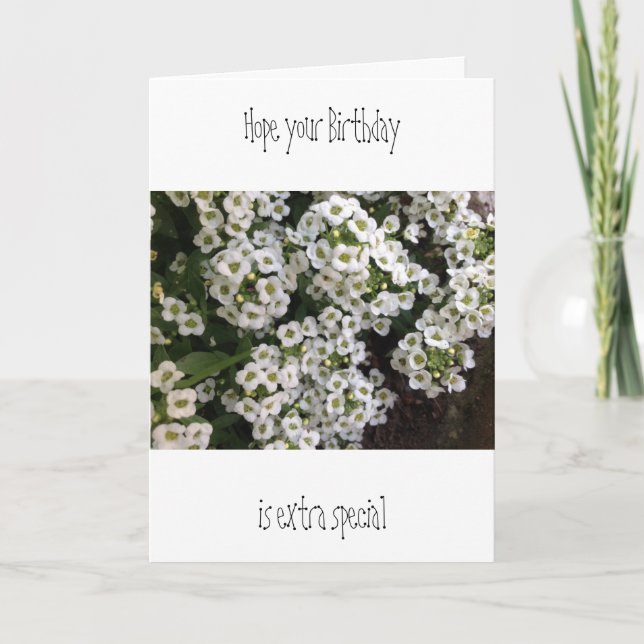 Carte d'anniversaire Alyssum (Devant)