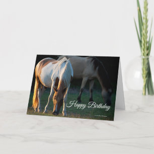 Carte d'anniversaire American Paint Horse