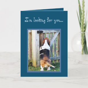 Carte d'anniversaire amusante avec Basset Hound & 