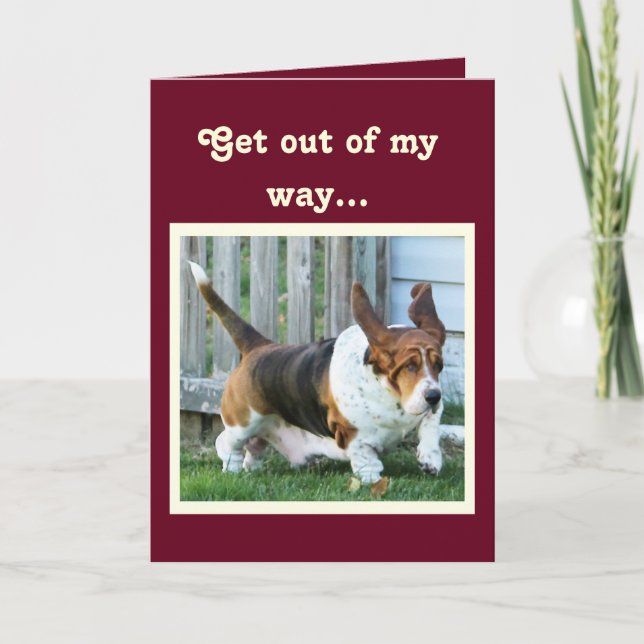 Carte d'anniversaire amusante avec Basset Hound et (Devant)
