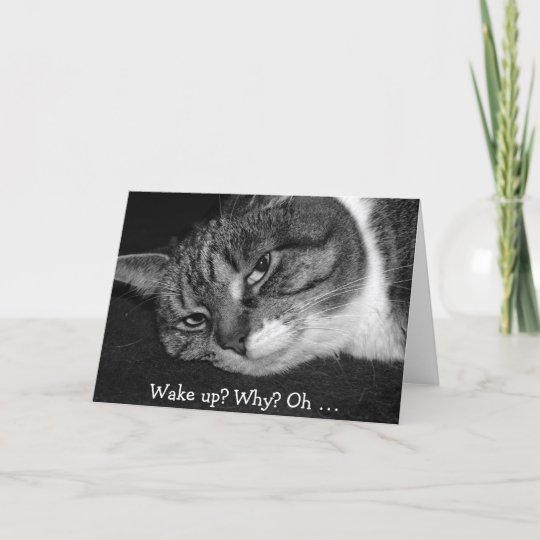 Carte D Anniversaire Amusante Avec Chat Reveille Zazzle Fr