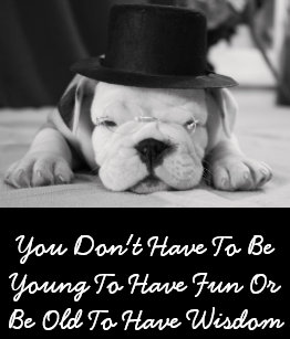 Cartes Anglais Bouledogue D Anniversaire Zazzle Fr Cartes Anglais Bouledogue D Anniversaire Zazzle Fr