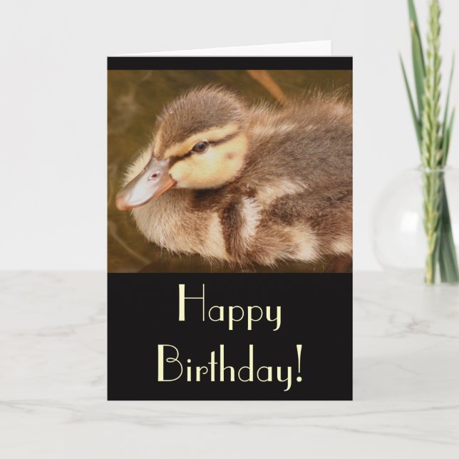 Carte d'anniversaire au canard (Devant)