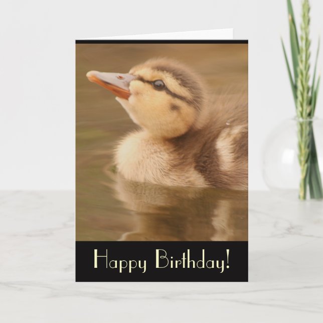 Carte d'anniversaire au canard (Devant)