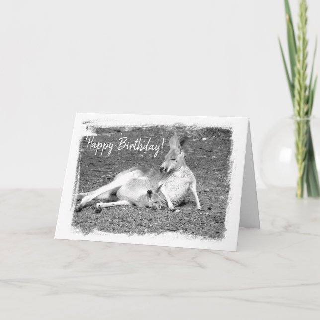 Carte d'anniversaire australienne Kangaroo (Devant)