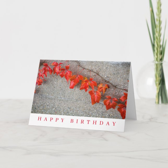 Carte d'anniversaire aux feuilles d'automne aux co (Devant)