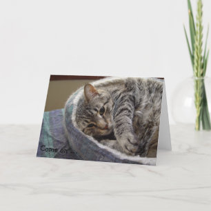 Carte d'anniversaire avec chat gris mignon : Allez