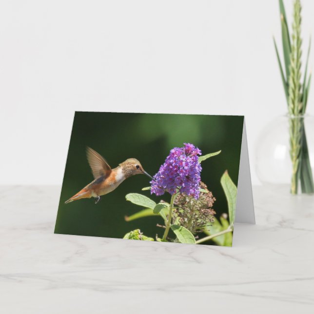 Carte d'anniversaire avec colibri (Devant)