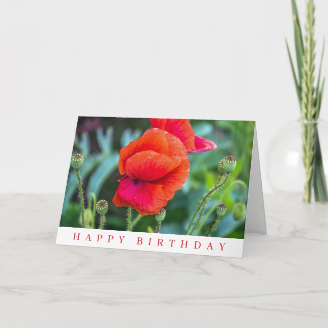 Carte d'anniversaire avec coquelicots rouges (Devant)