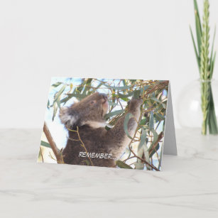 Carte d'anniversaire avec koala