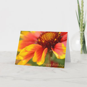 Carte d'anniversaire avec la fleur orange